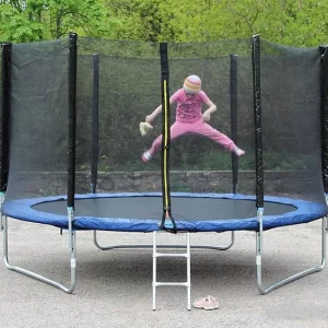 Батут Atlas Sport BASIC 10FT (312 см) c лестницей и сеткой